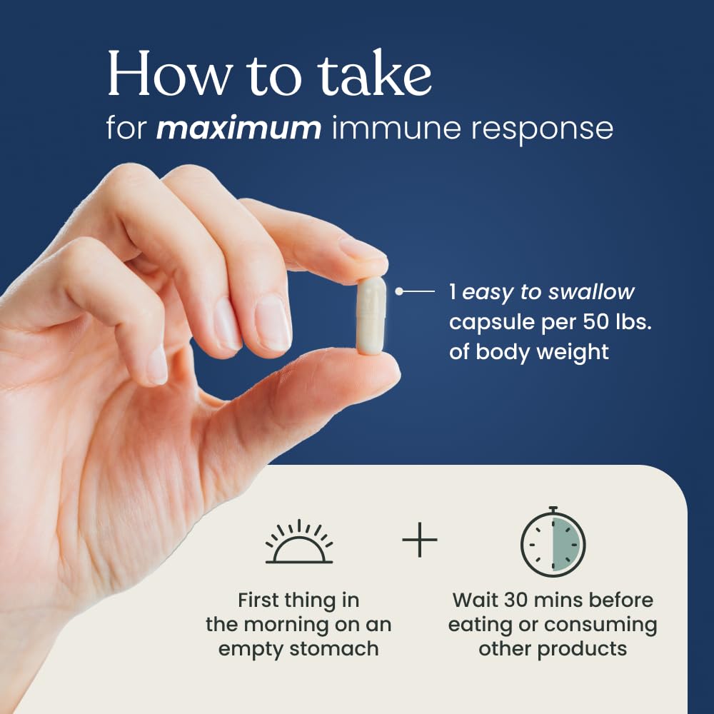 Better Way Health Beta Glucan 500 study chart conveys science-backed immune context.