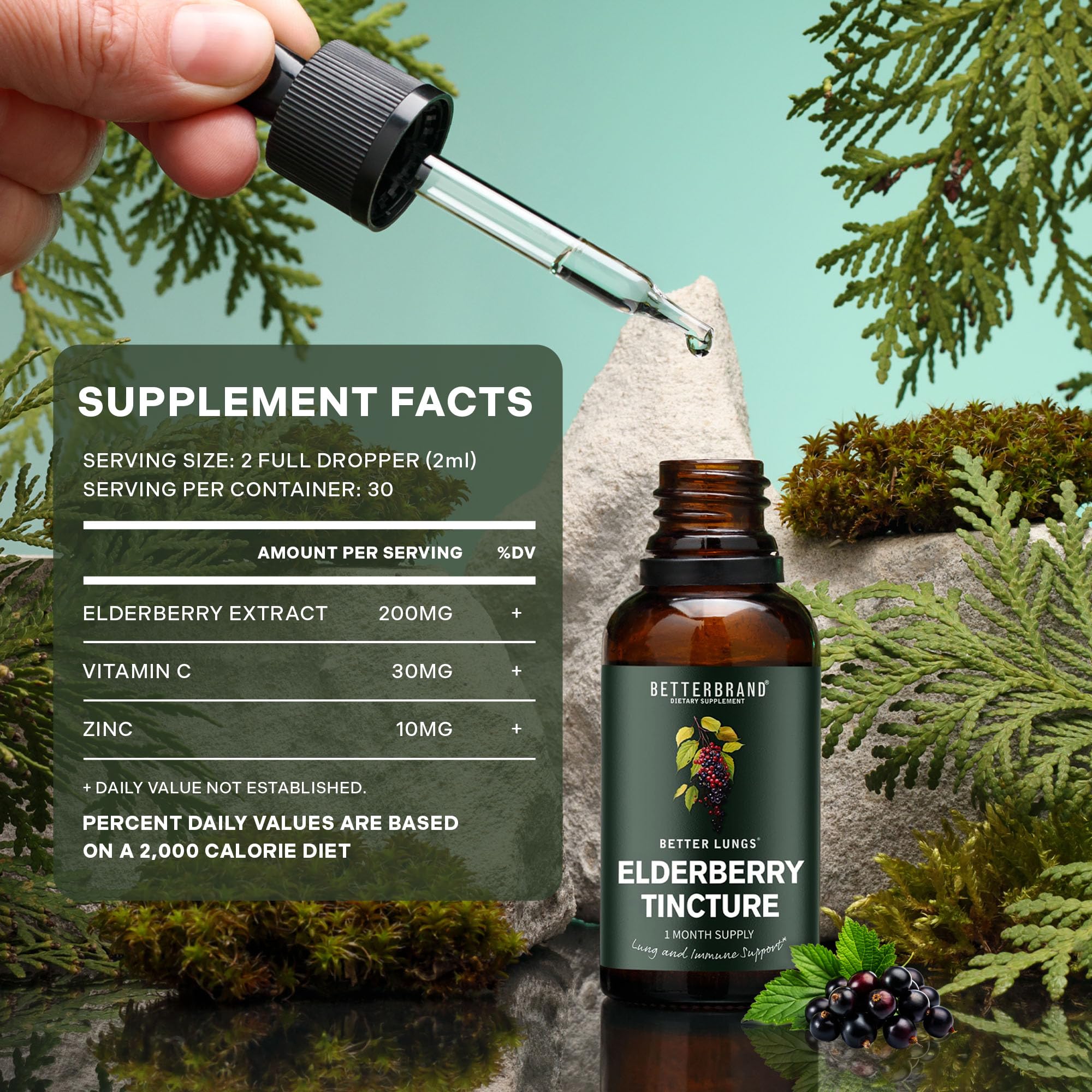 BetterLungs Elderberry tincture product shot showing 30-day supply.