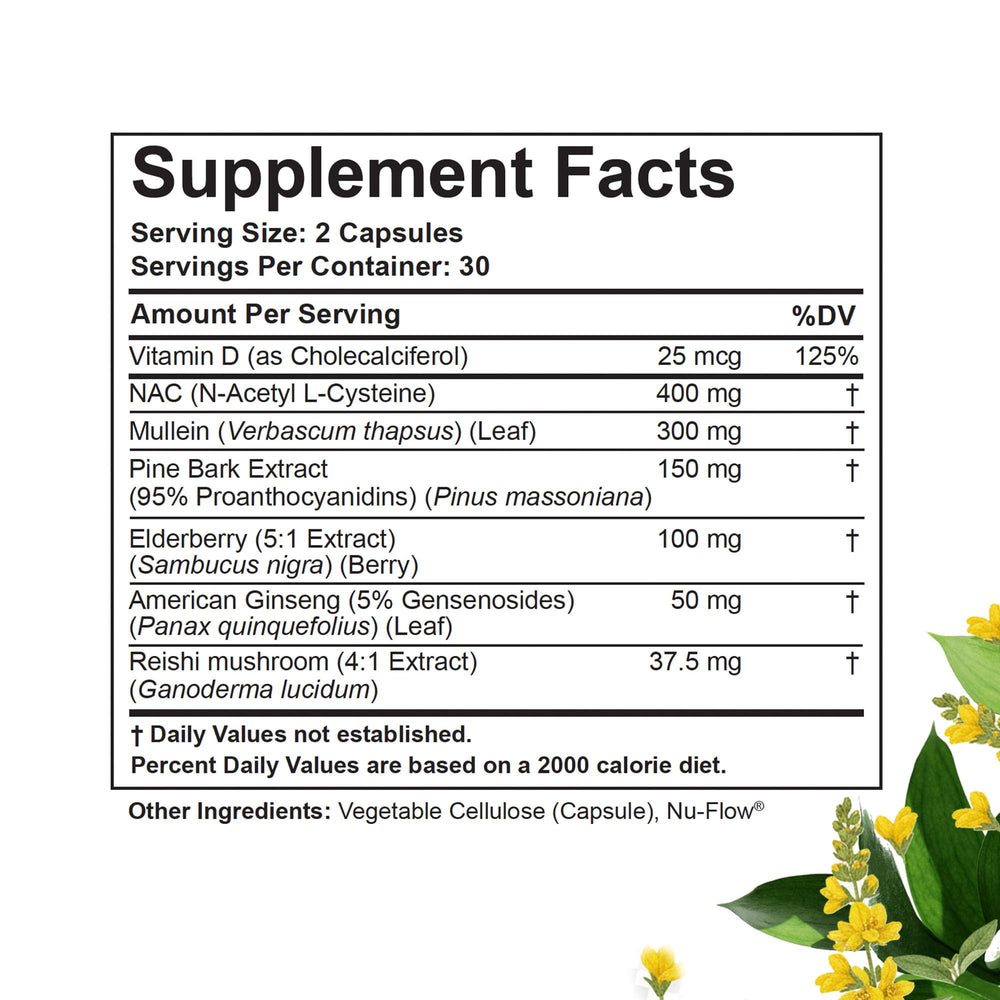 Betterbrand BetterLungs herbal ingredients panel shows mullein, elderberry, ginseng, and reishi.