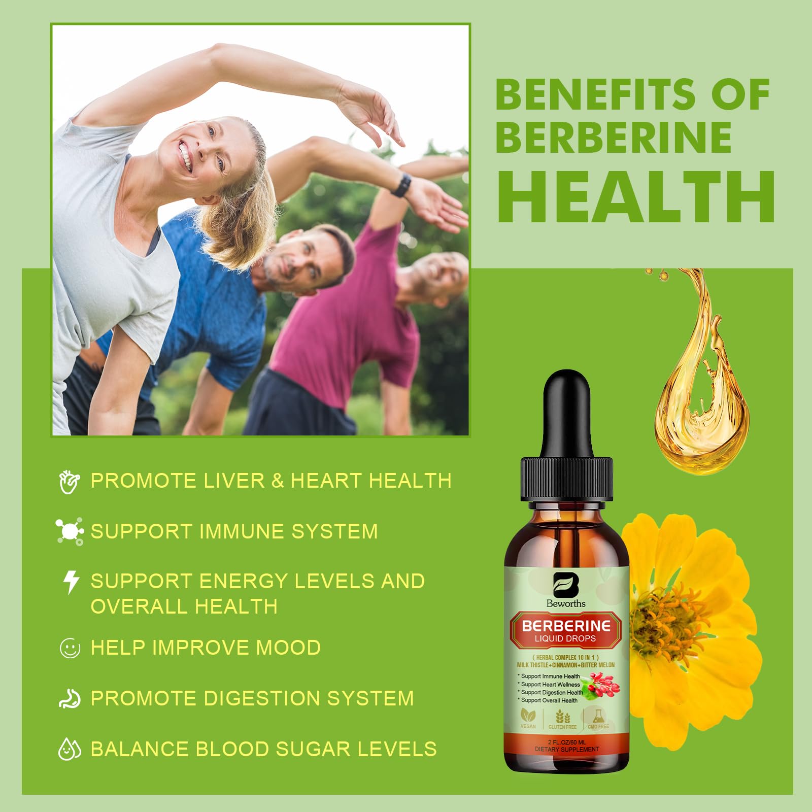 B BEWORTHS Berberine artichoke leaf blend communicates holistic wellness integration