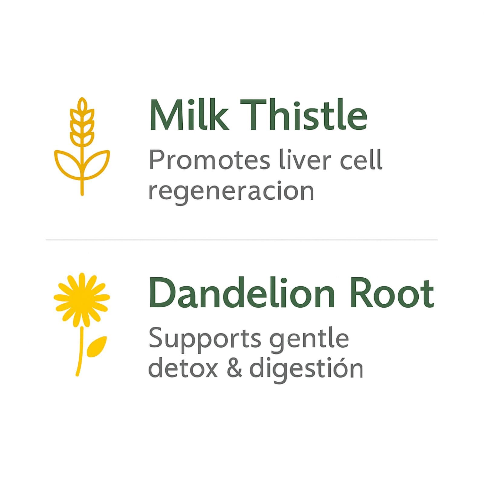 B-Experts ingredients visual featuring Milk Thistle and Dandelion roots.