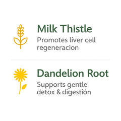 B-Experts ingredients visual featuring Milk Thistle and Dandelion roots.