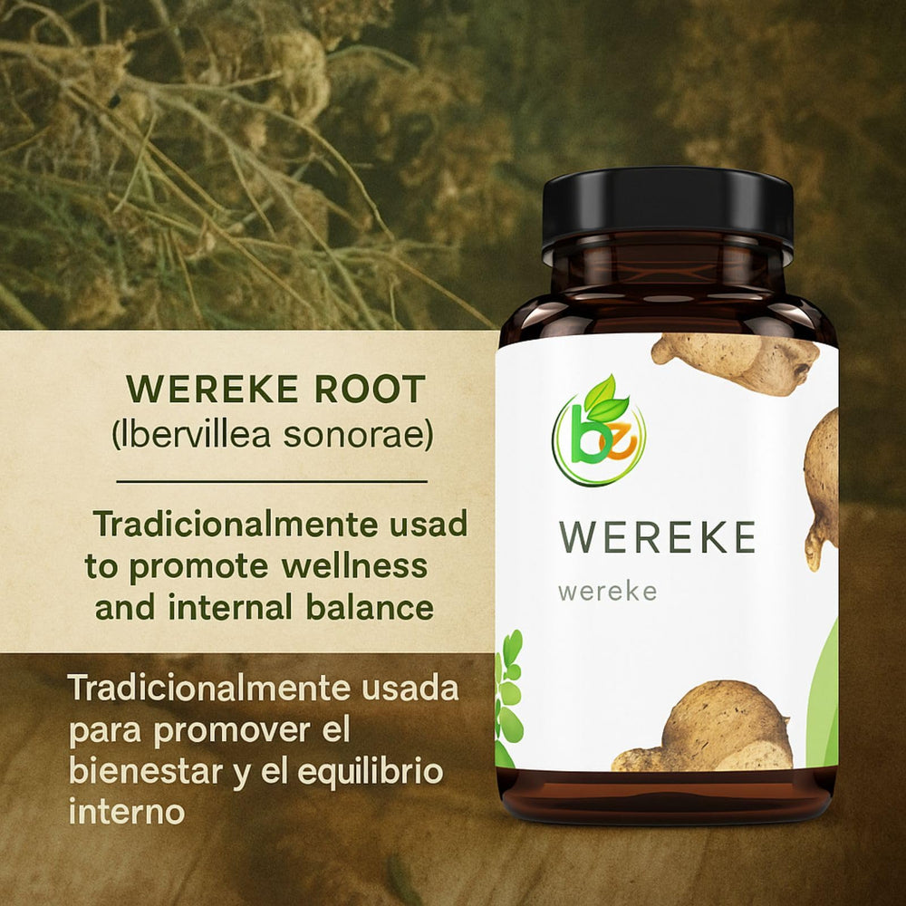 Wereke Root capsules in hand for easy daily use.