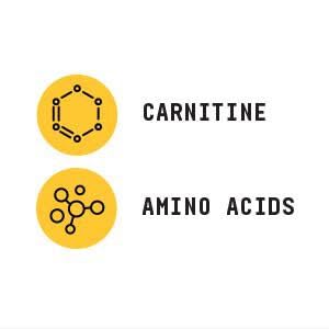 Beyond Raw Chemistry L-Carnitine powder bottle on countertop for daily use