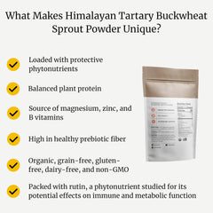 Big Bold Health sprout powder scoop in smoothie highlights convenient plant-based nutrition.