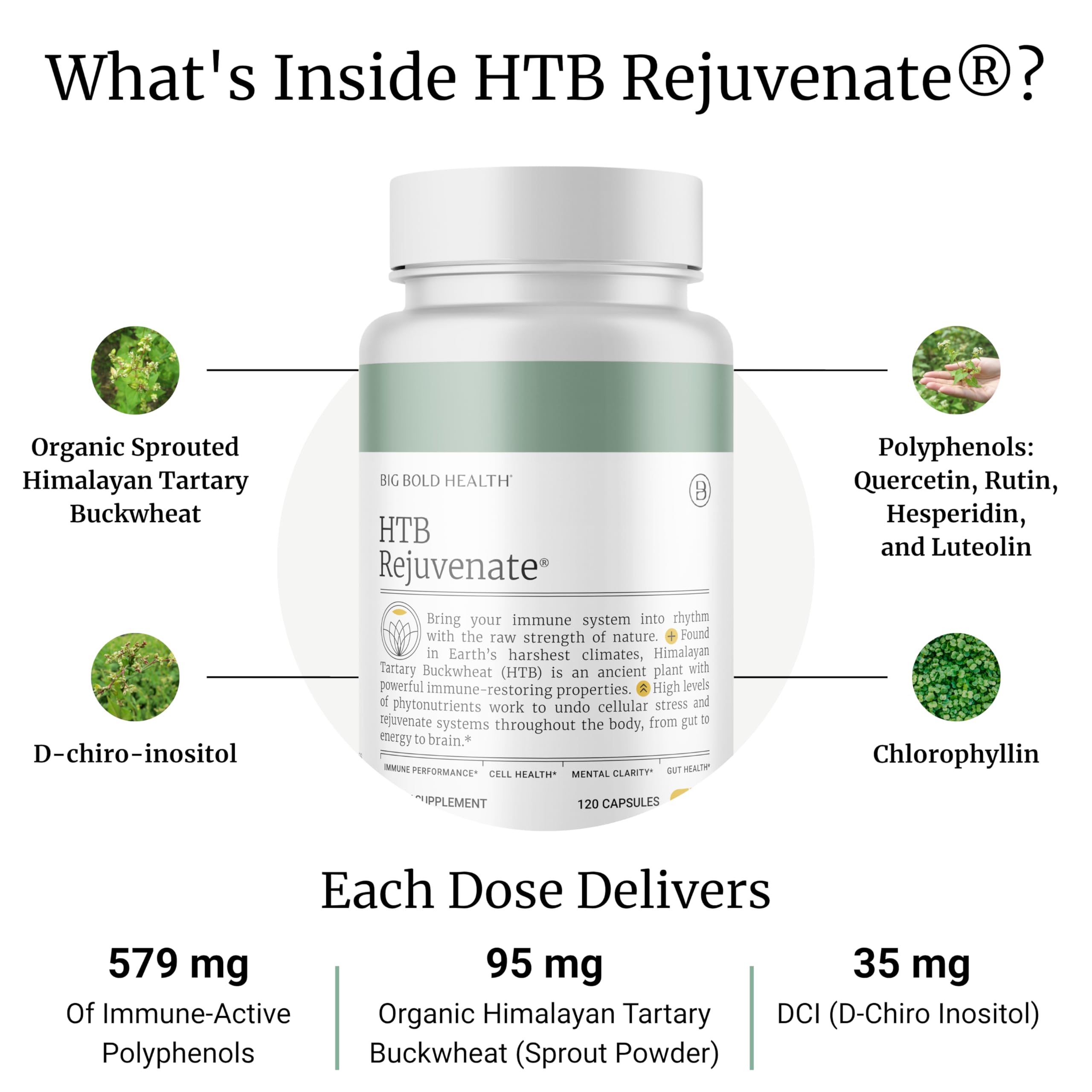 BIG BOLD HEALTH HTB Rejuvenate capsules ready for daily antioxidant support