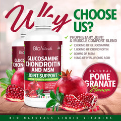 Bio Naturals Hyaluronic acid addition visual underscores joint lubrication potential.