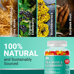BIO VITALICA bottle back shows ingredients and third-party testing