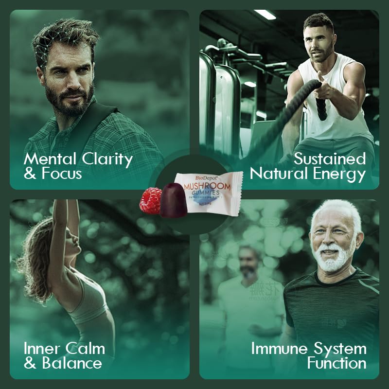 Biodepot 24 mushroom blend illustration signals broad wellness benefits.