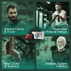 Biodepot 24 mushroom blend illustration signals broad wellness benefits.