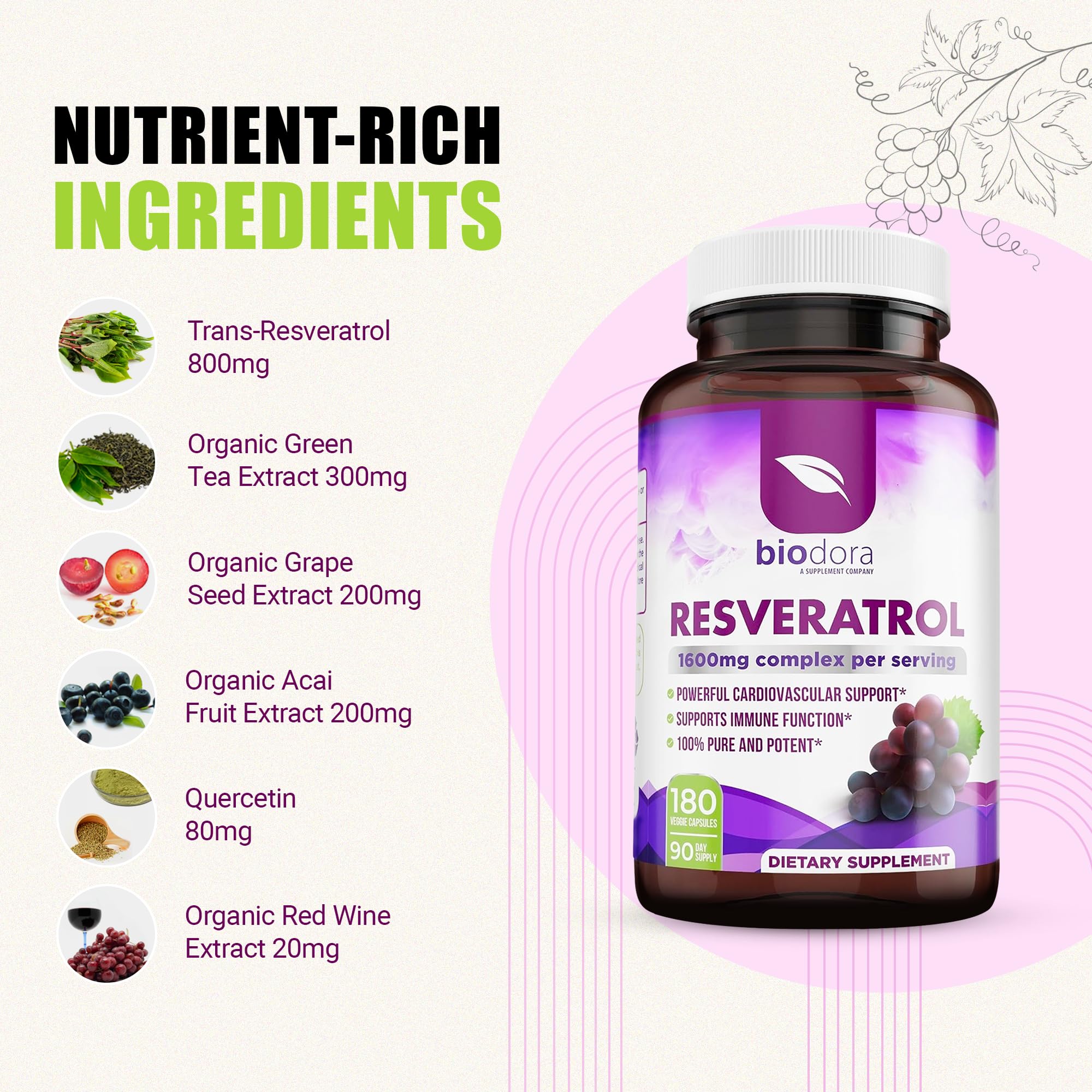 Biodora Resveratrol with Green Tea ingredients supporting polyphenol-rich wellness.