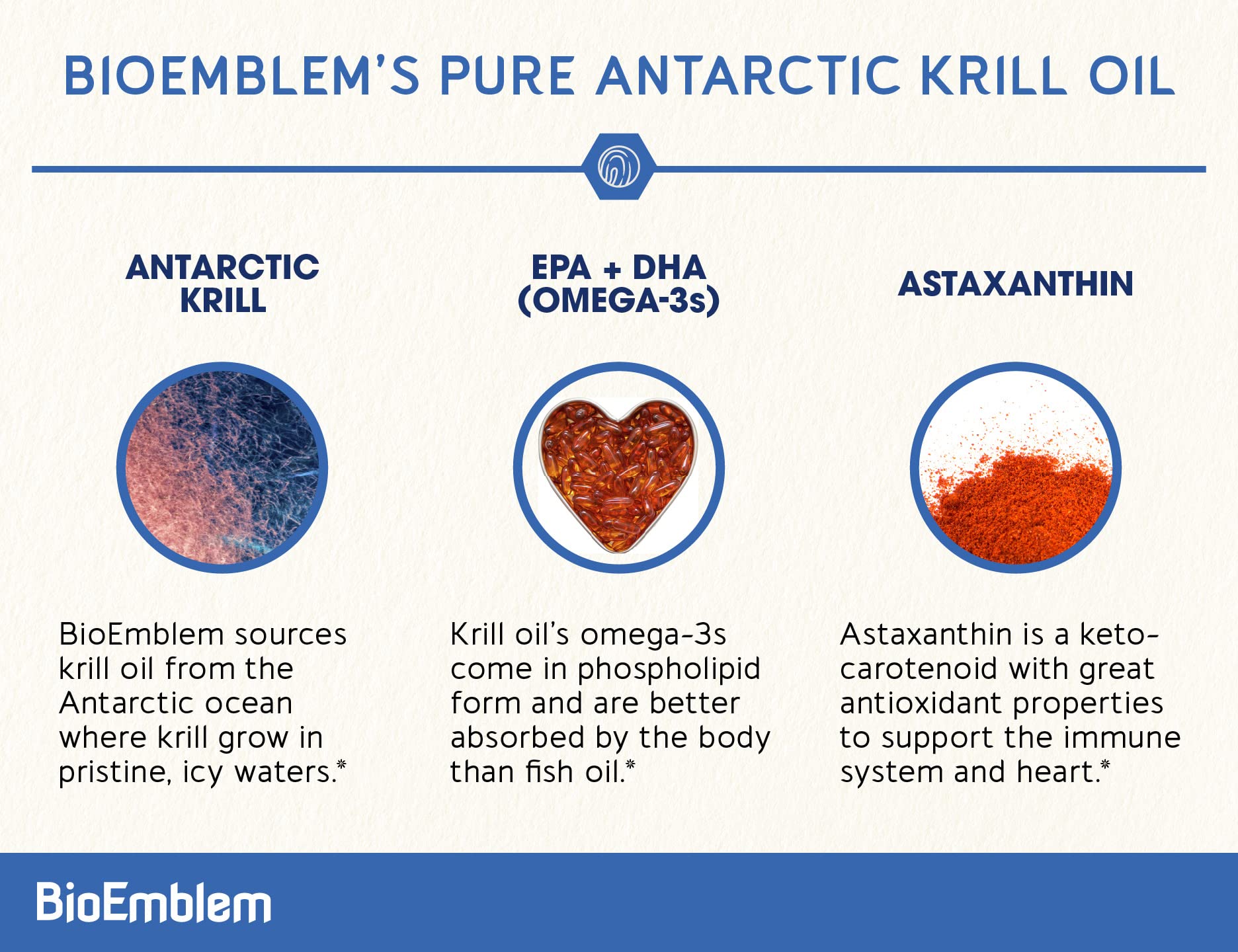 BioEmblem krill oil capsules highlighting phospholipids for absorption