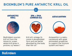 BioEmblem krill oil capsules highlighting phospholipids for absorption