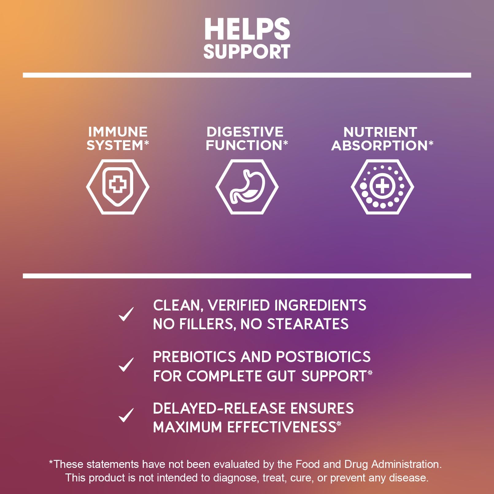 Chicory root prebiotic blend with BioEmblem Probiotics for gut health.