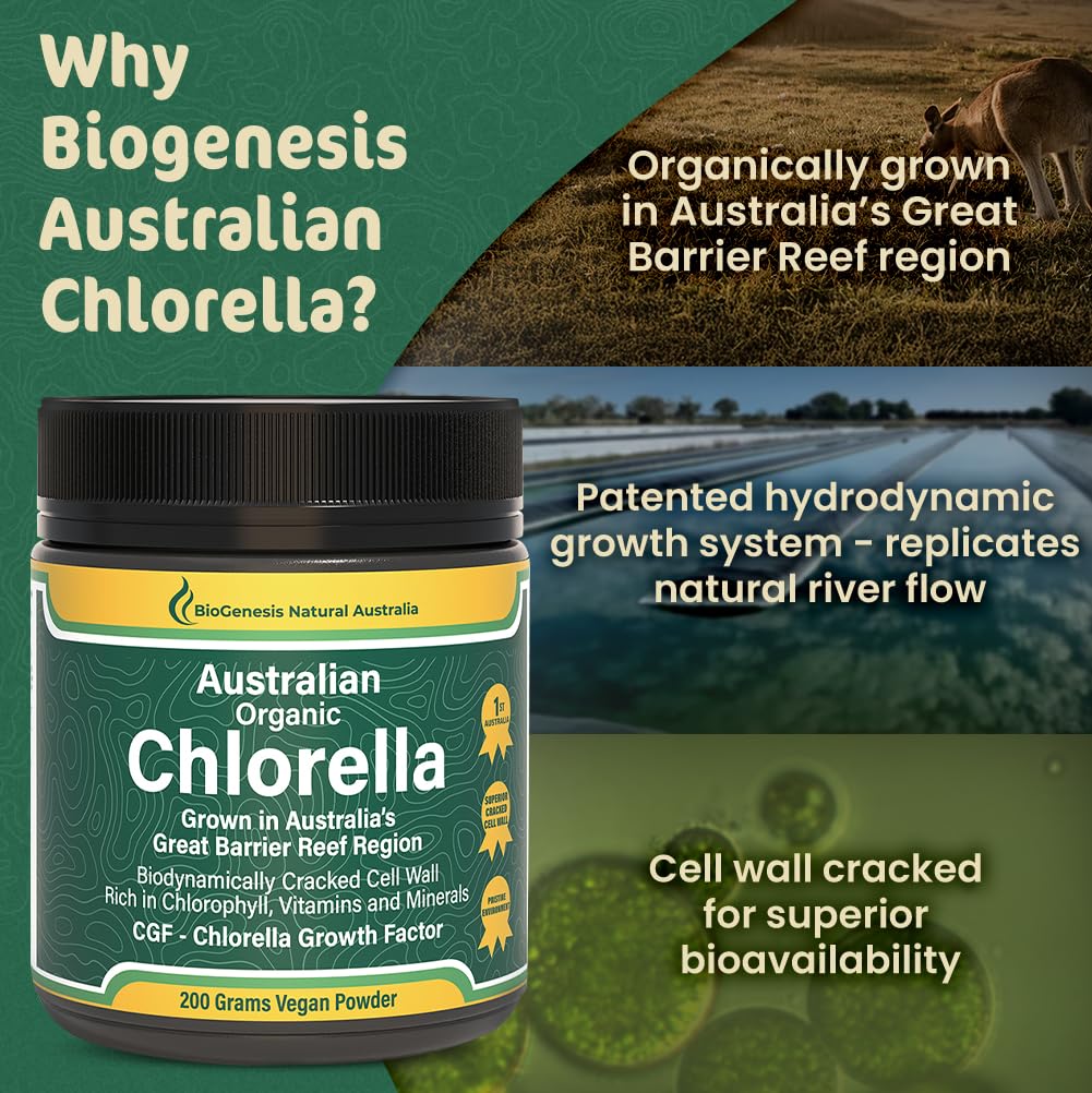 Biogenesis chlorella powder, chlorophyll-rich greens, potential energy-supporting boost.