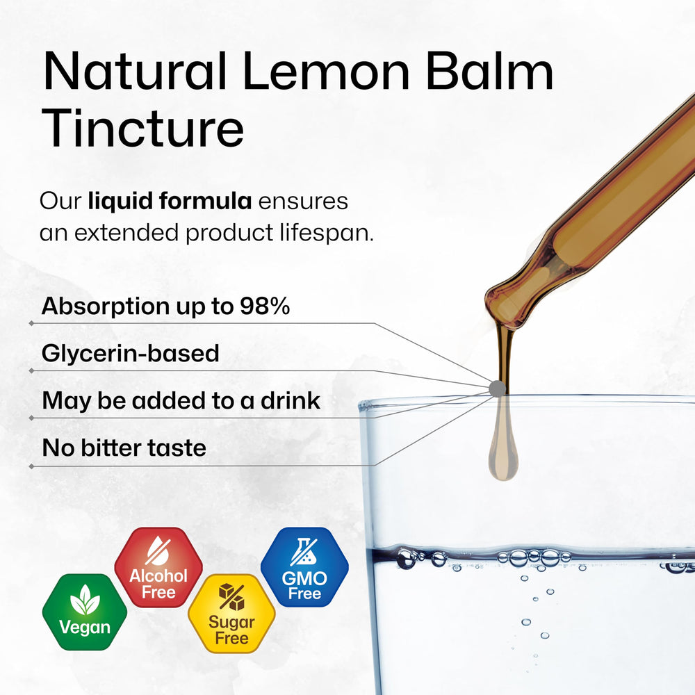BIO KRAUTER Lemon Balm leaves show natural herbal source for relaxation.
