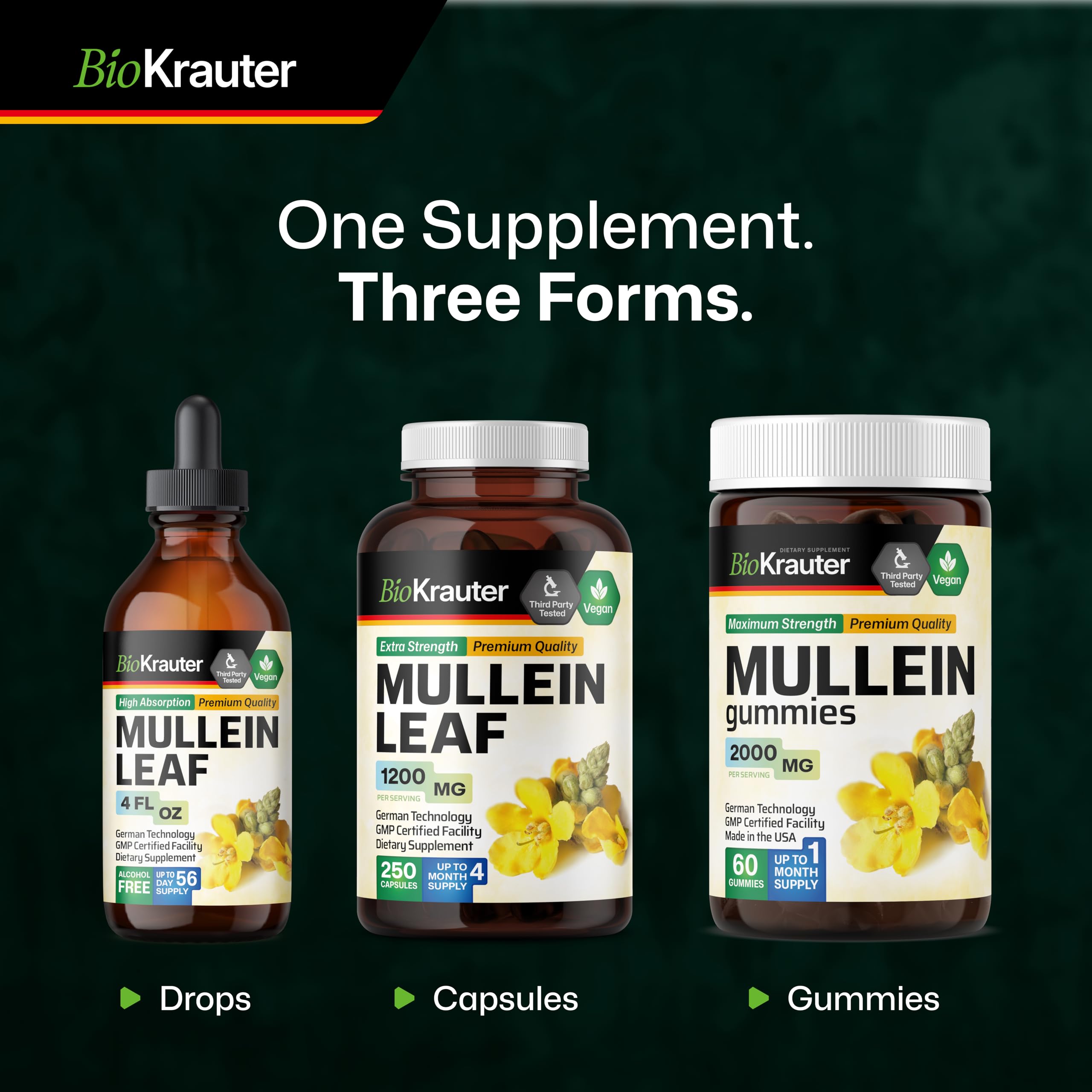 BIO KRAUTER Mullein Drops 28-days supply label visible