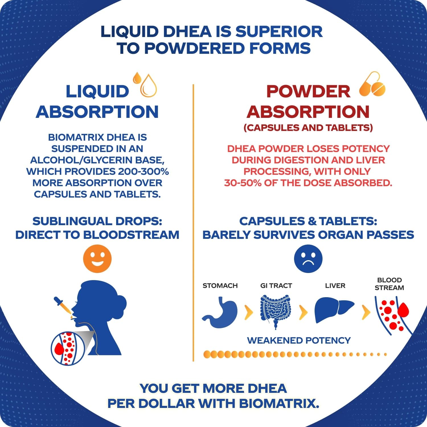 BioMatrix DHEA Liquid precision dosing enables tailored daily amounts.