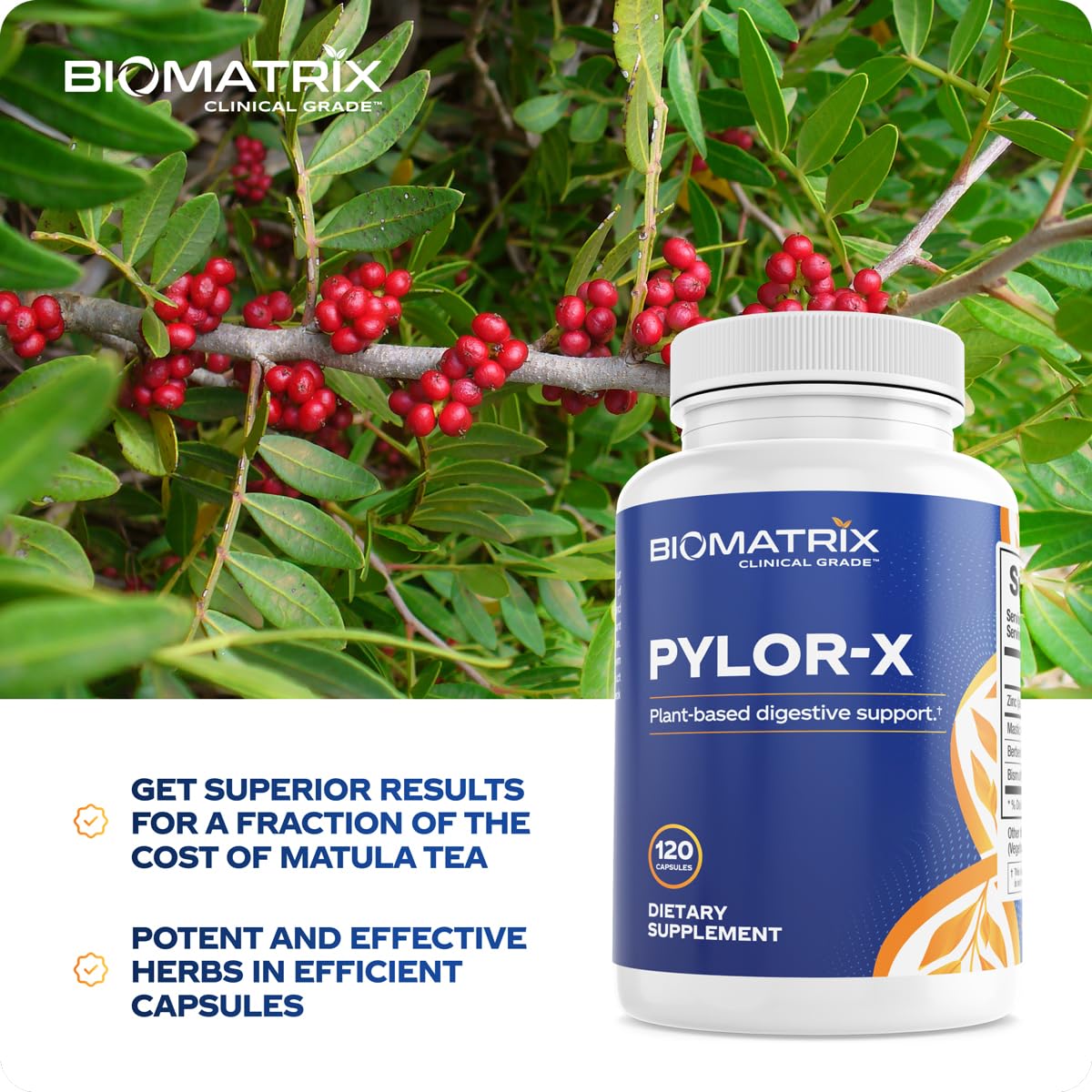BioMatrix Pylor-X capsule packaging signaling digestive comfort and gut balance