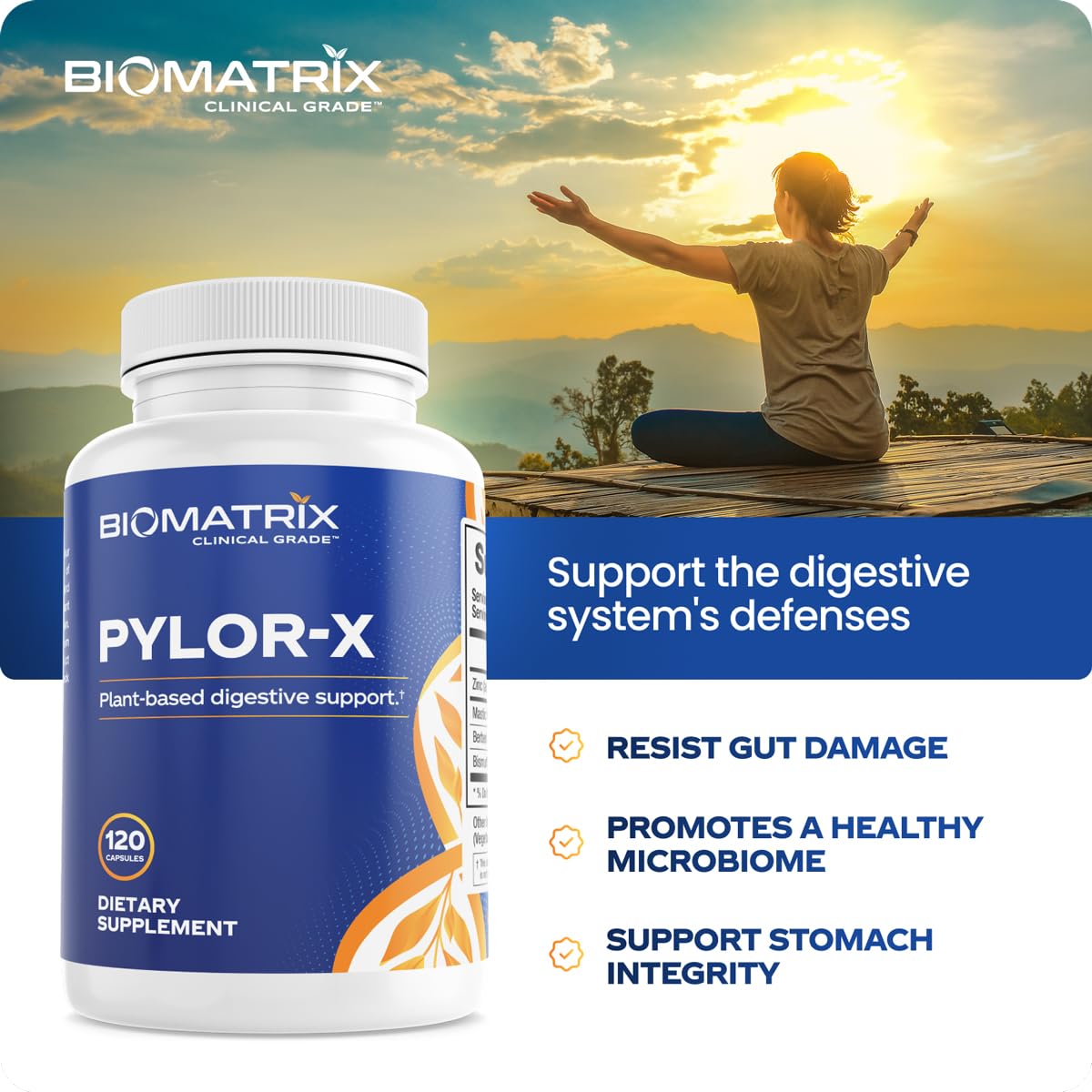 BioMatrix Pylor-X berberine component highlighting digestive support