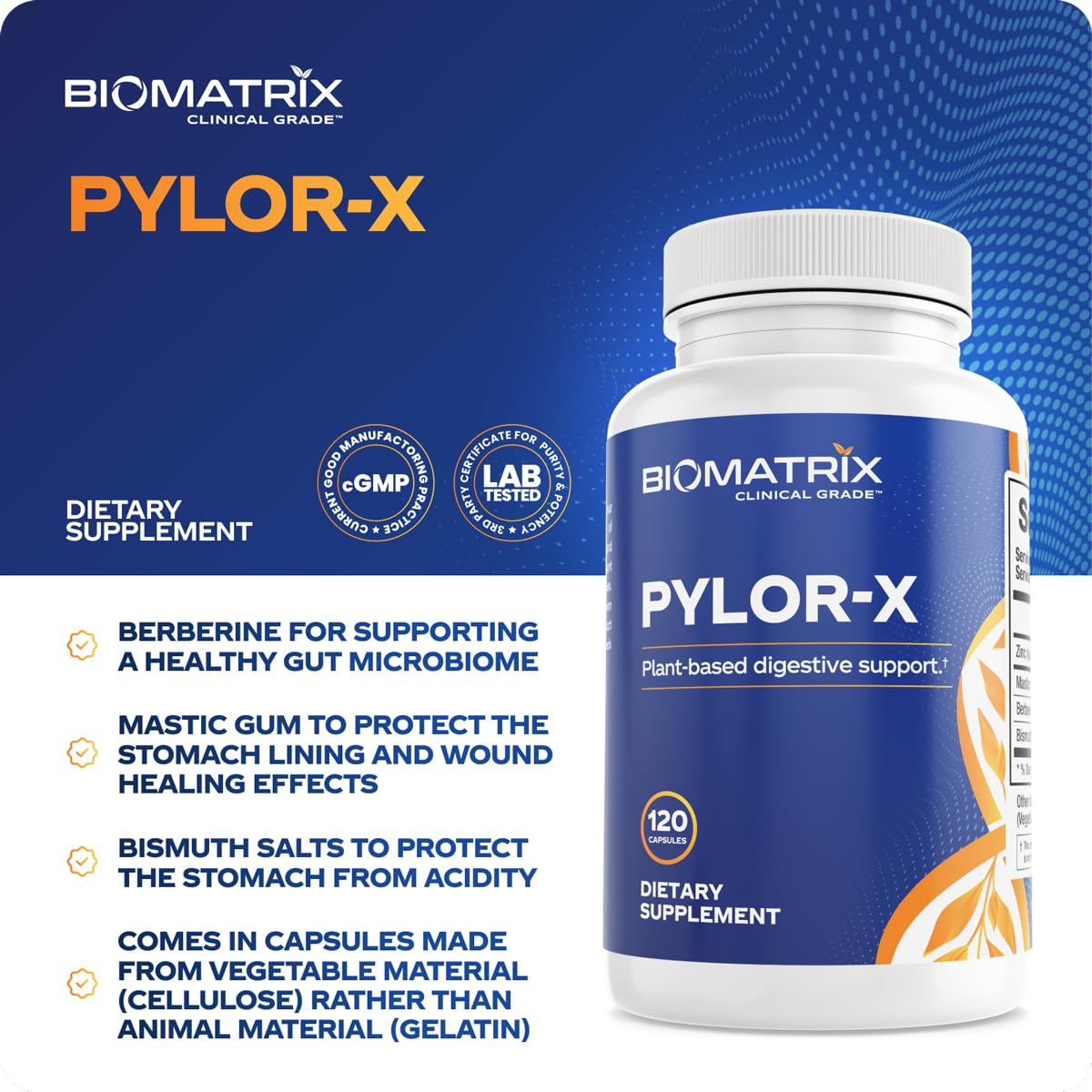 BioMatrix Pylor-X mastic gum ingredient close-up for gut balance