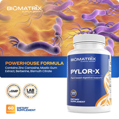 BioMatrix Pylor-X zinc carnosine chelate visual for stomach lining