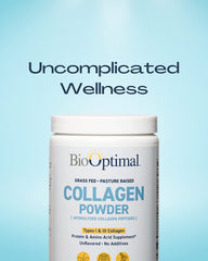 BioOptimal Collagen Peptides powder scoop showing easy daily serving for smoothies.