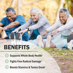 BioSchwartz Beet Root Powder ingredients close-up showing organic blend for vitality