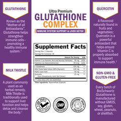 Graphic of ingredients including milk thistle, quercetin, and alpha-lipoic acid