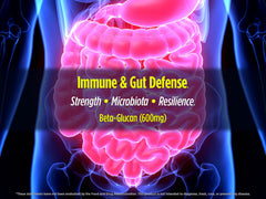 Biotest Beta-Glucan serving spoon with capsules illustrating ease of use.