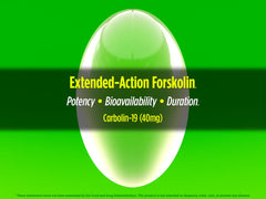 Biotest Carbolin 19 serving suggestion image shows easy daily intake around workouts
