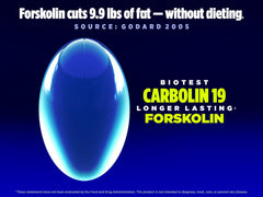 Biotest Carbolin 19 softgels close-up, convenient daily capsules for fat metabolism goals