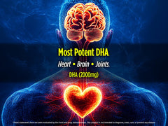 Biotest Flameout ingredients label reveals 2000 mg DHA and 400 mg EPA per serving.