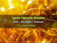 Biotest Flameout purification process panel shows molecular distillation for purity.