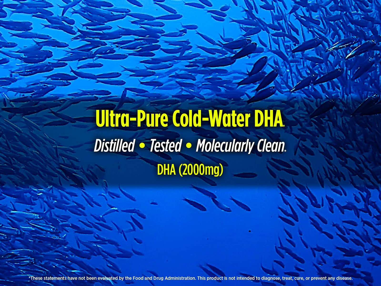 Biotest Flameout sustainability emphasis highlights ethically sourced cold-water fish oil.