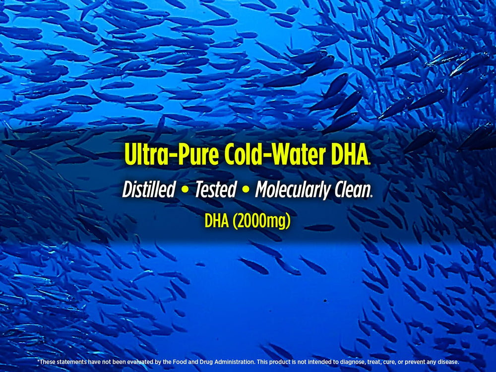 Biotest Flameout sustainability emphasis highlights ethically sourced cold-water fish oil.