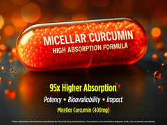 Biotest Micellar Curcumin absorption graphic illustrates high bioavailability