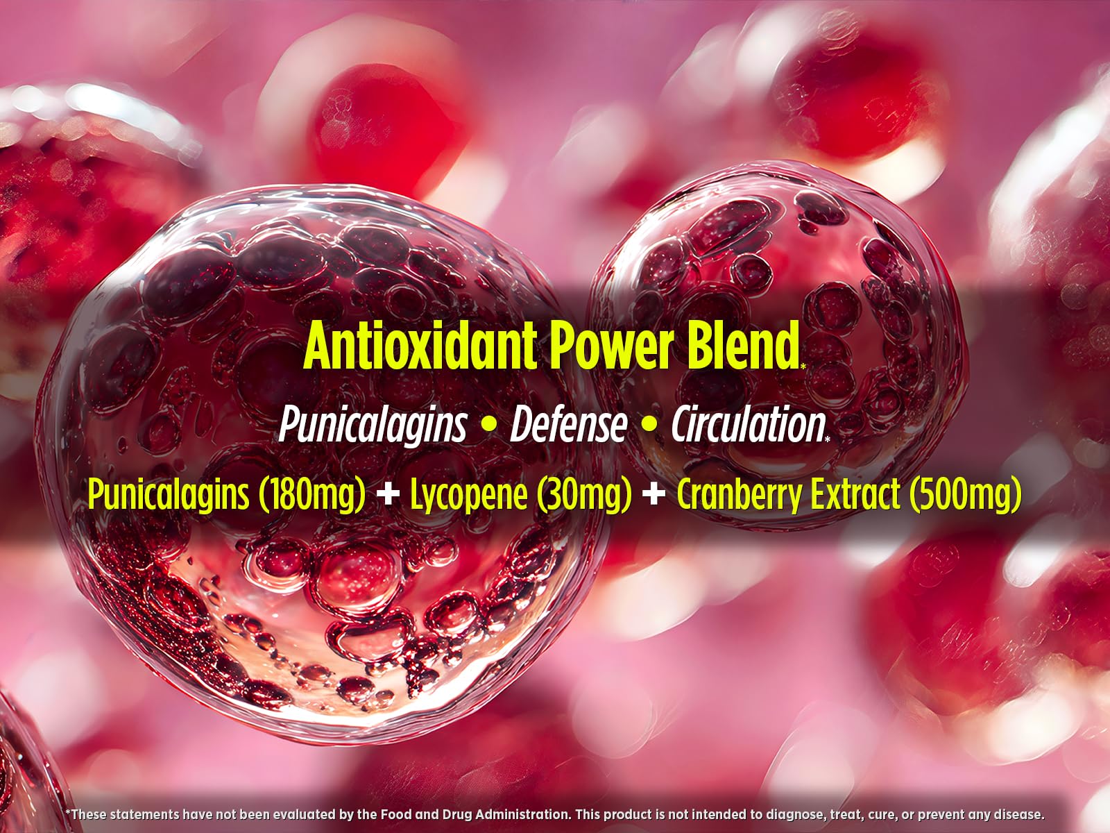 Biotest P-Well capsules arranged with cranberry concentrate emphasis 50:1 for potency