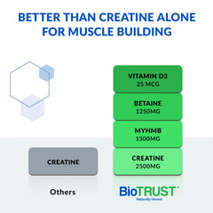 BioTrust Ageless Muscle scoop-dispense showing convenient serving for workouts.