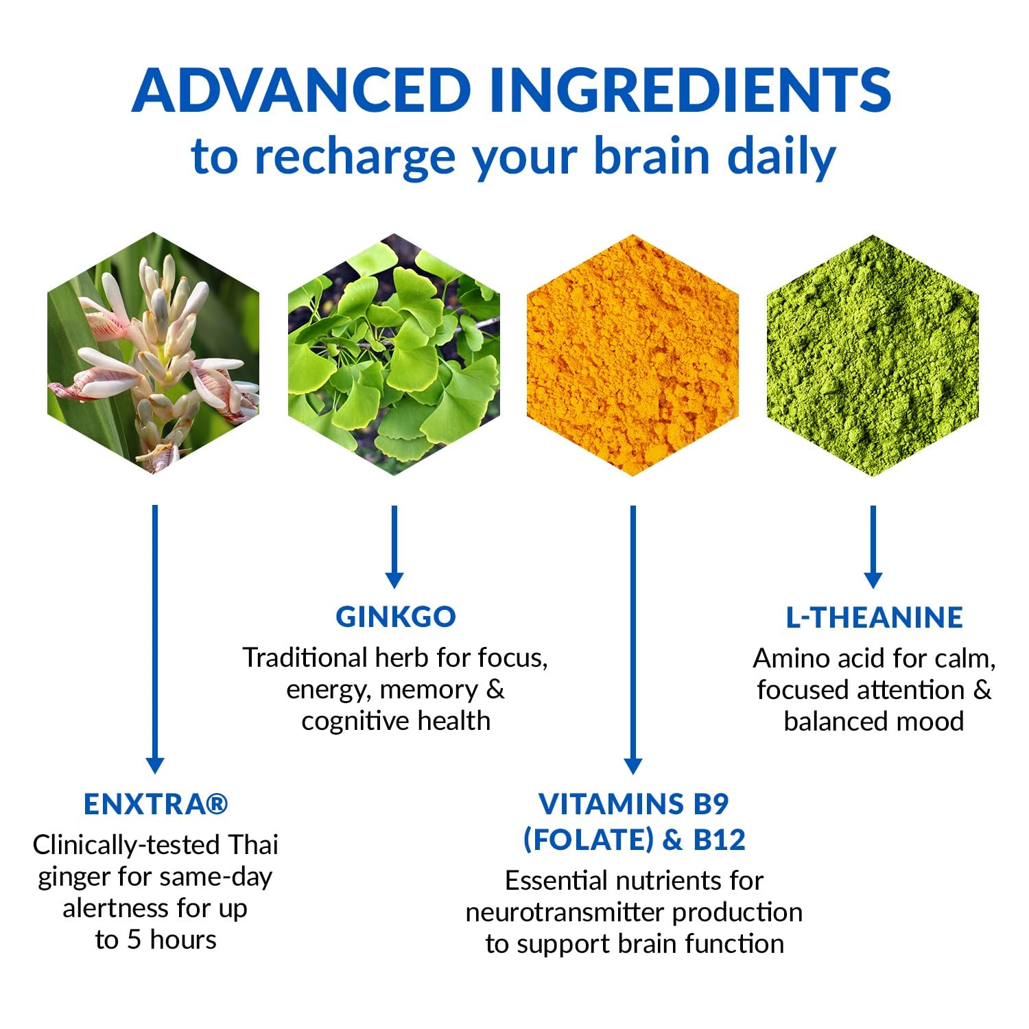 BioTrust Brain Bright serving capsules illustrating easy daily dosing for mental clarity.