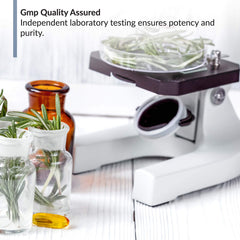 BioTrust OmegaKrill pour-glass-bottle demonstrates convenient three-softgel daily intake.