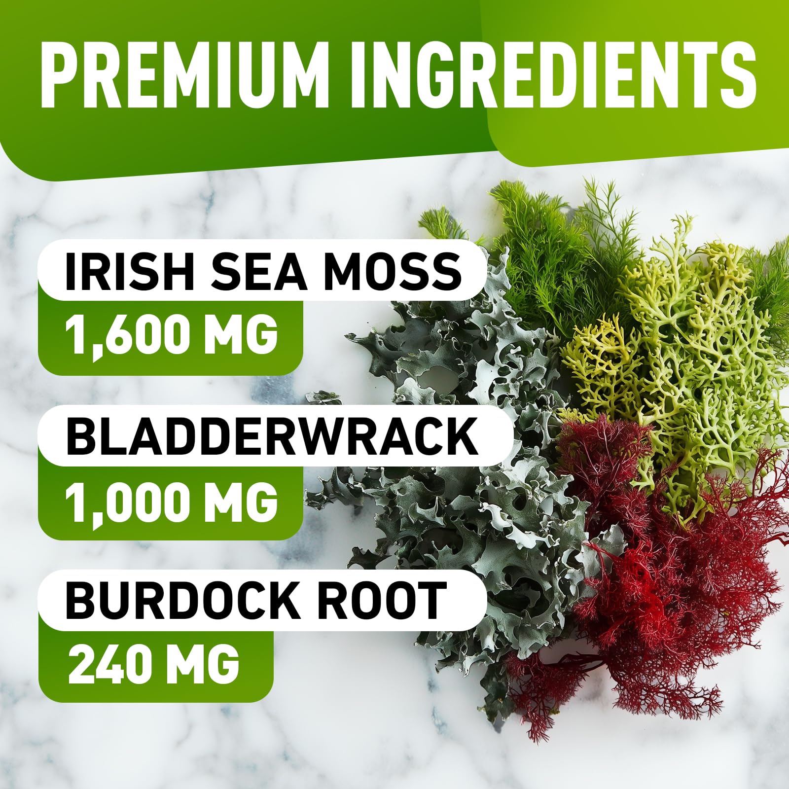 BioVit Sea Moss Gummies bladderwrack and burdock image suggests digestive balance