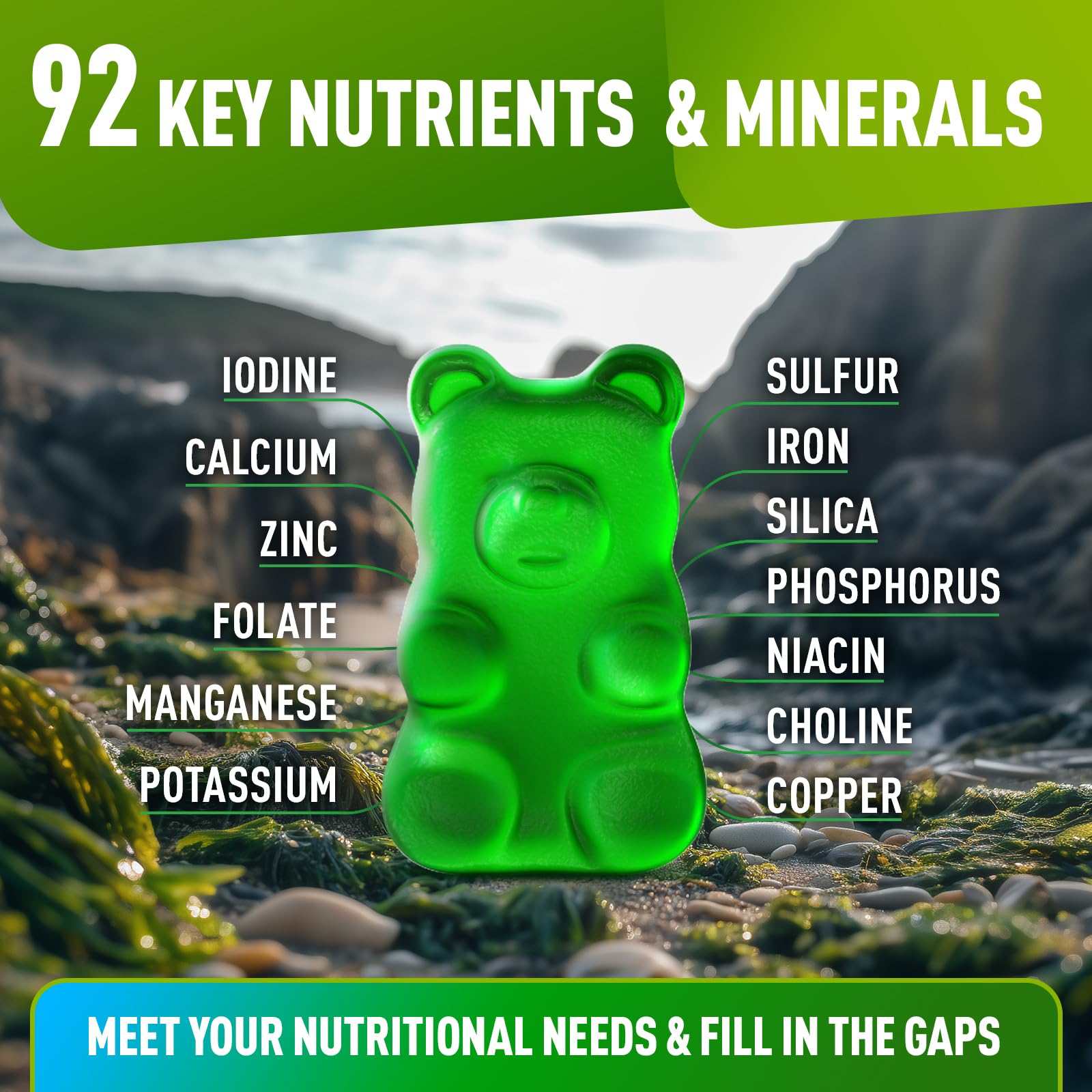 BioVit Sea Moss Gummies nutrition facts image highlights minerals