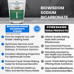 BioWisdom Sodium Bicarbonate Powder Close-Up reveals fine texture for mixing into batter.