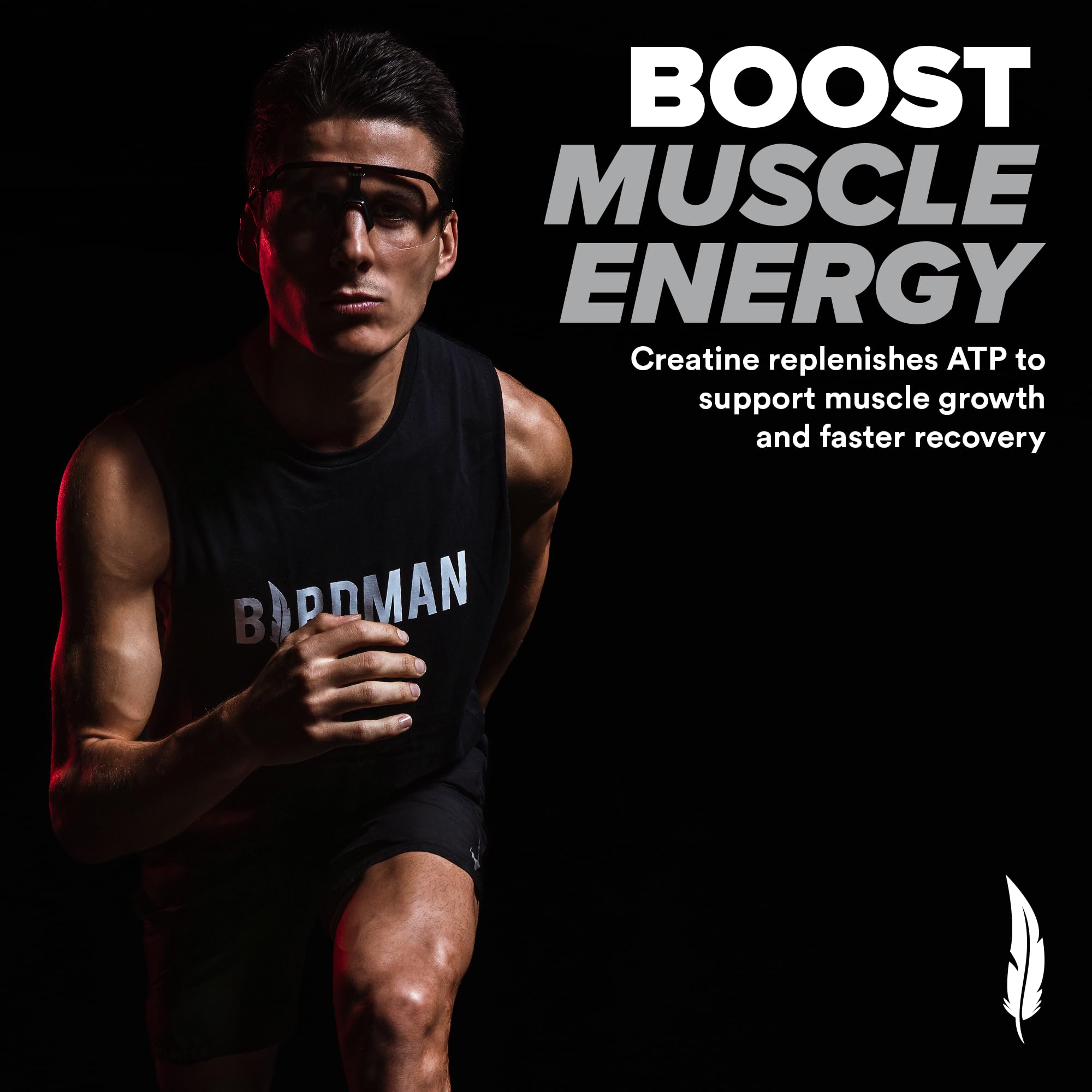 Birdman 80 servings packaging front indicating long-term training support.