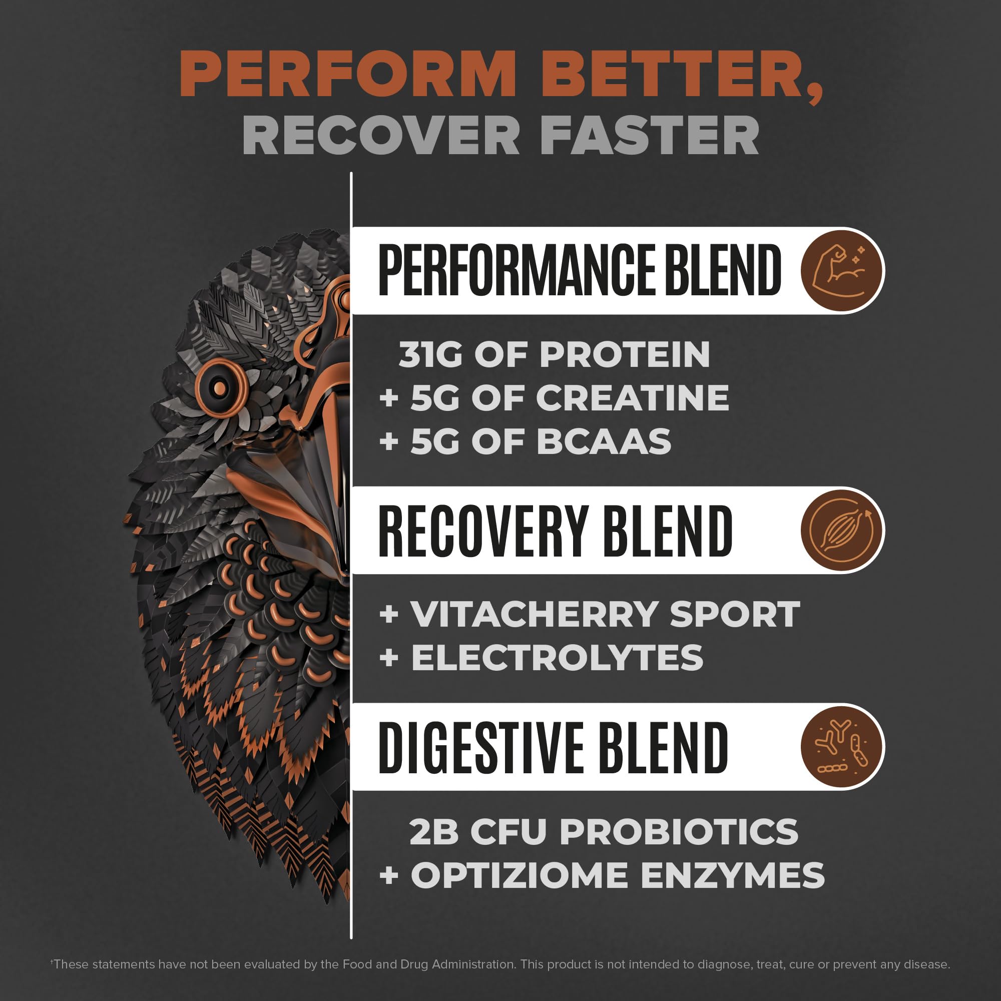 Birdman Falcon Performance protein scoop highlighting 31g protein with creatine and BCAAs