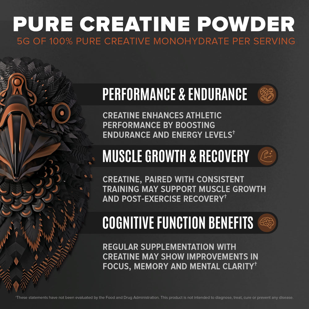 Birdman Falcon Performance protein tub with chocolate plant-based formula
