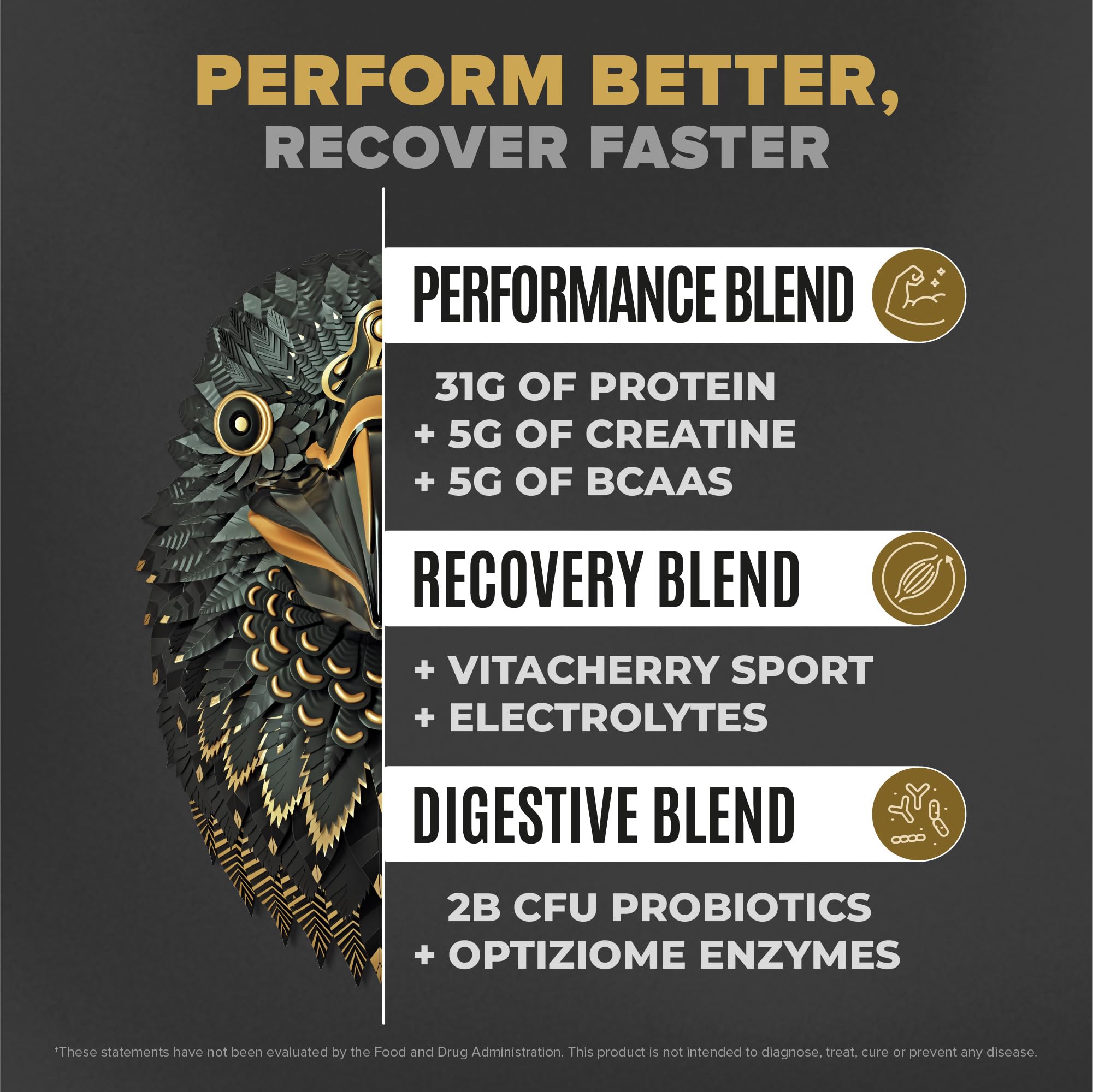 Birdman Falcon Performance vanilla protein in a shaker dissolves smoothly for quick pre-workout shakes.