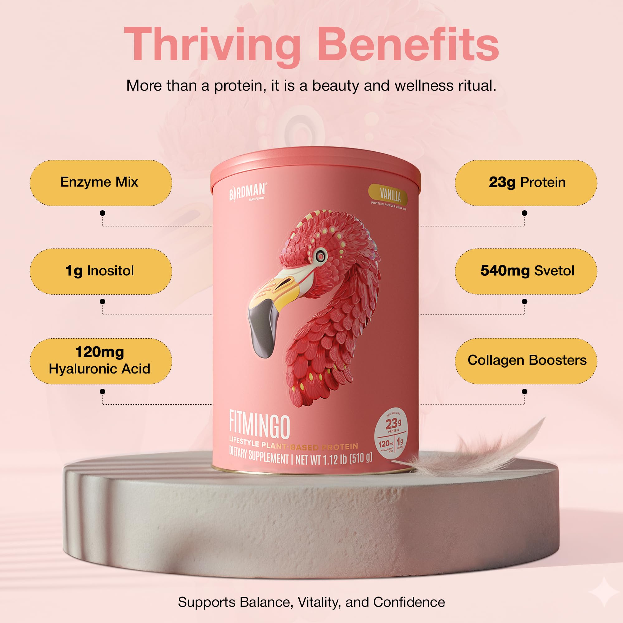 BIRDMAN Fitmingo vanilla scoop emphasizes plant-based protein for workouts.
