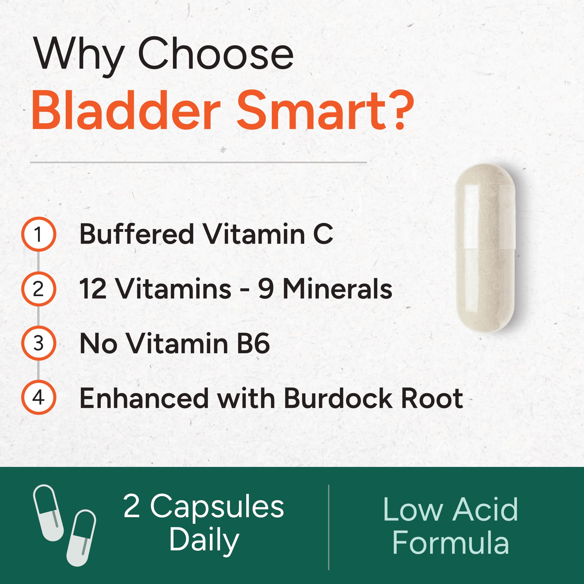 BLADDER SMART burdock-root illustration highlights traditional wellness support.